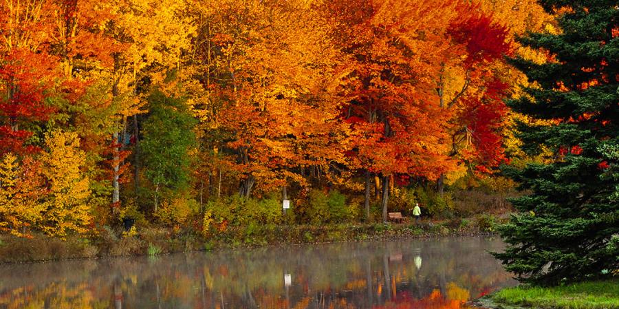 Fall foliage at Centennia Park