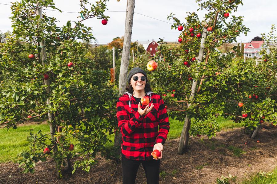 Apple picking at Everett Family Orchard