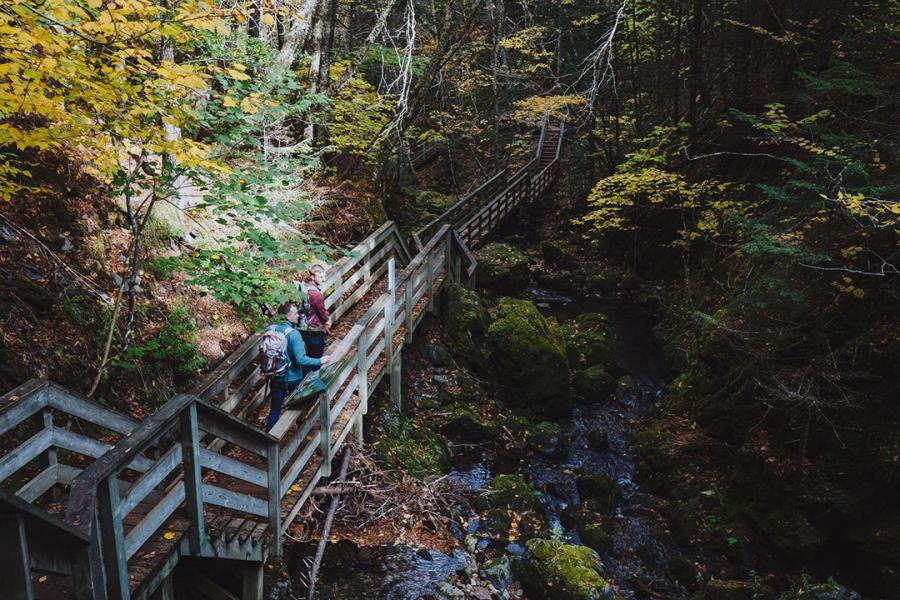 Parc national Fundy
