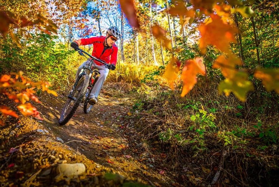 Mountain Biking