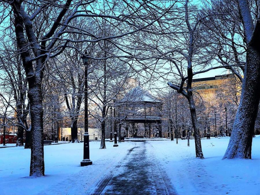 King’s square in all its winter glory. Credit @ruthellensmith