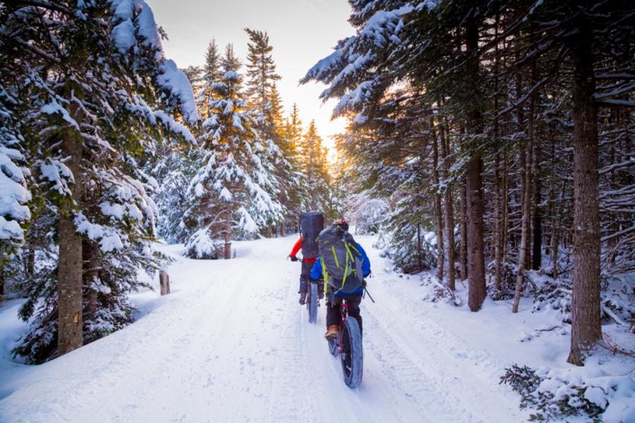 Fat biking through the snow-covered trails