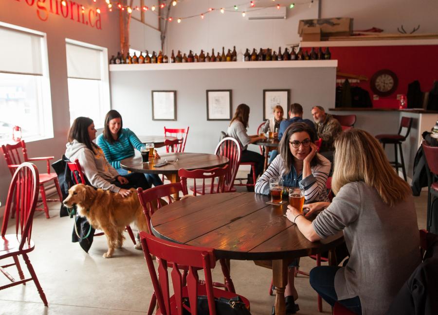 The friendly ambiance at Foghorn Brewing