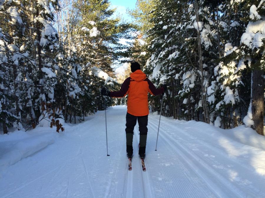 Cross-country skiing on the groomed trails at Kouchibouguac National Park.