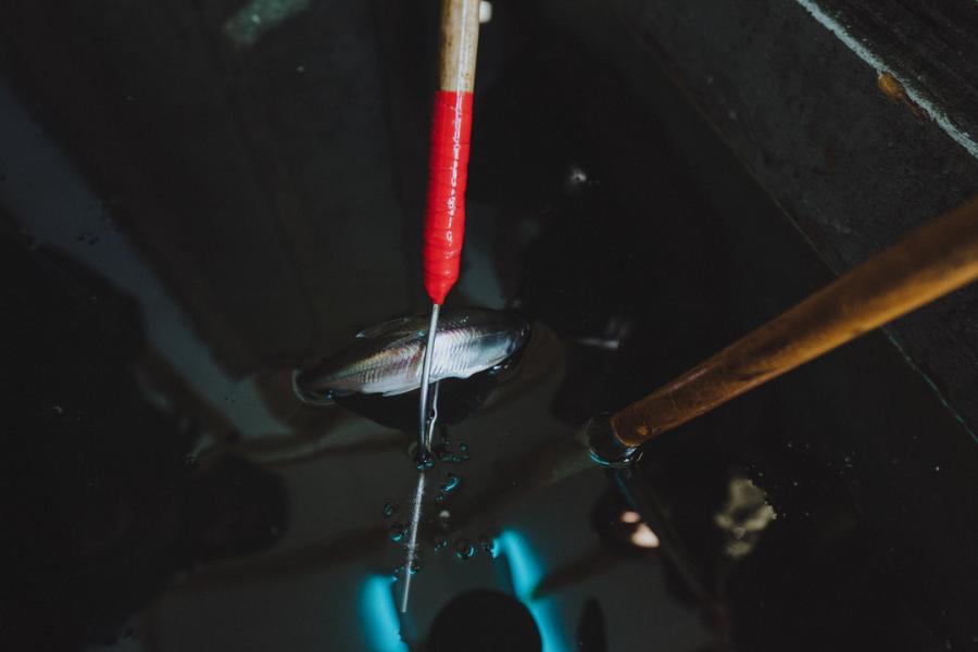 A lucky day for ice fishing