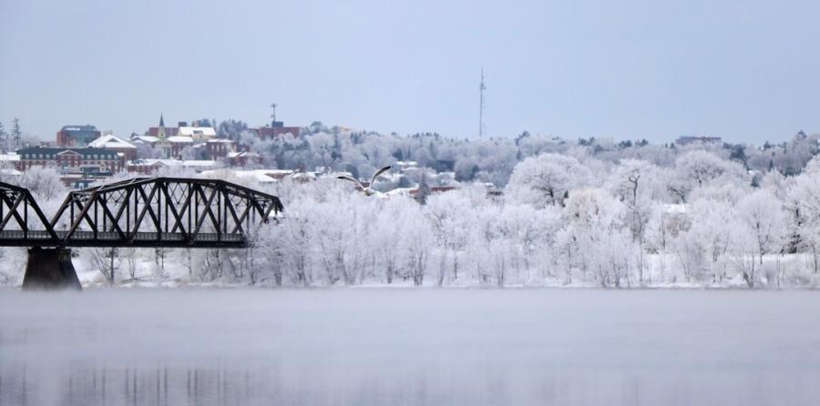 Winter views of the Bill Thorpe walking bridge