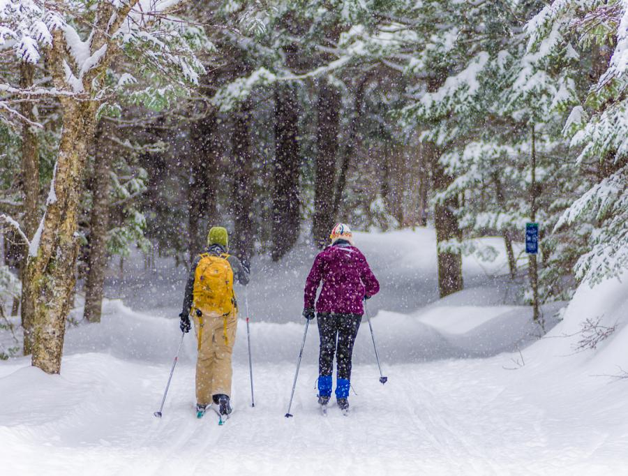 Cross-country skiing in a city park