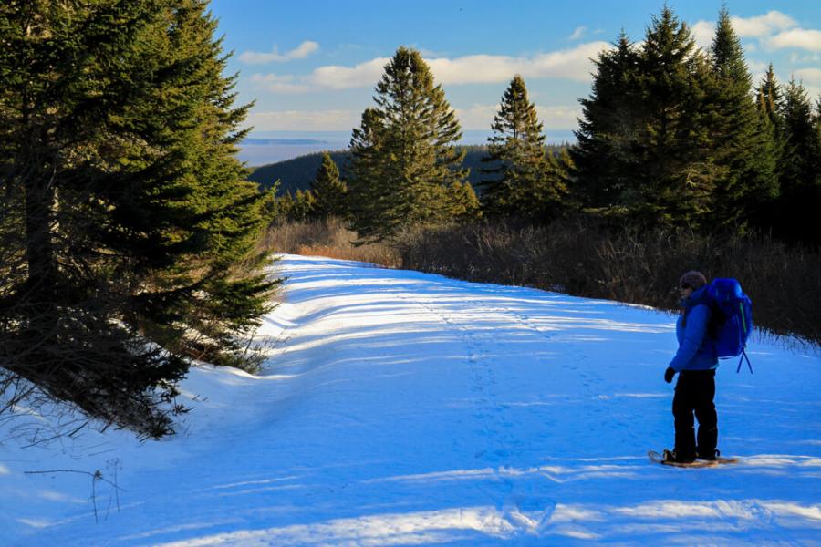 Snowshoeing near the Hastings Cabin with views of the Bay of Fundy