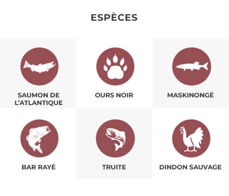 Fish hunt icons FR