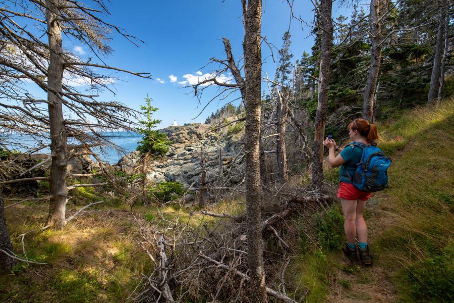 Lighthouse Trail, Grand Manan Island