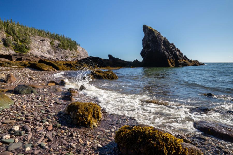 Cape Spencer, near Saint John