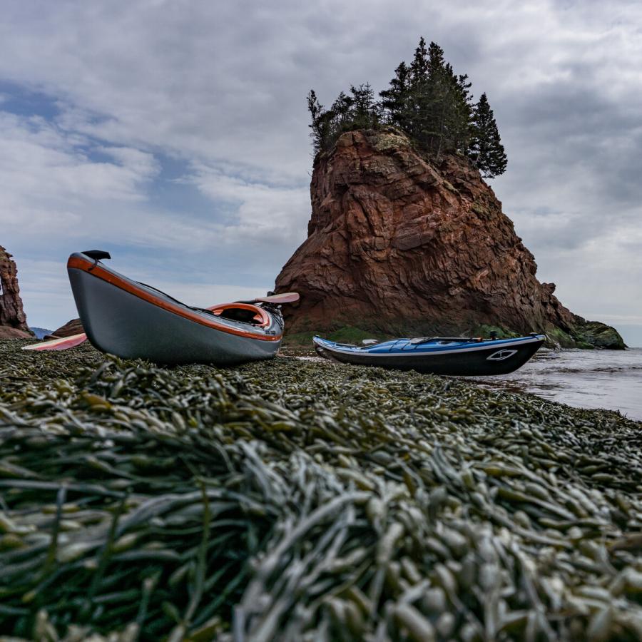 East Head, Robertson Cove, Bay of Fundy
