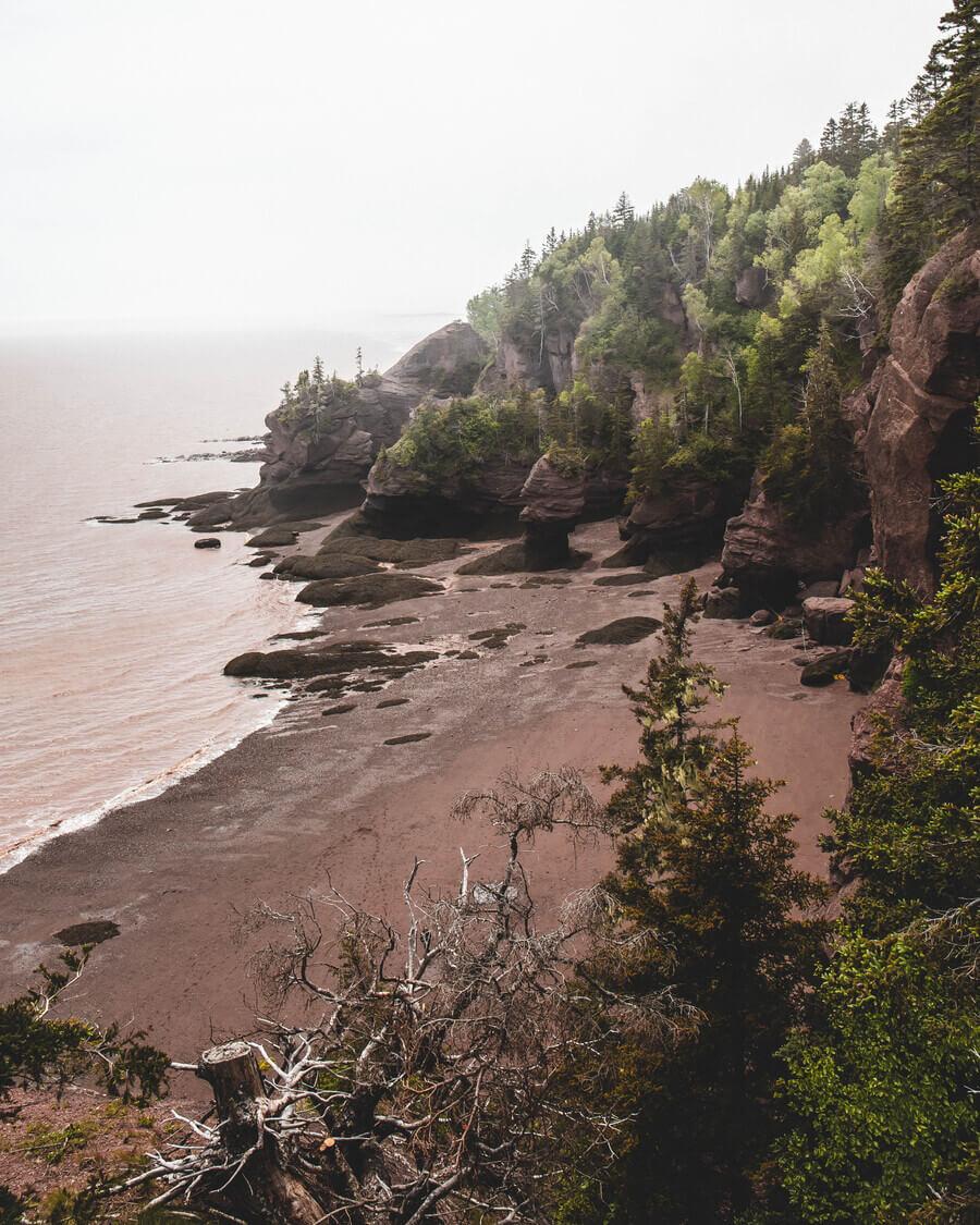 Shoreline from above at The Hopewell Rocks Park