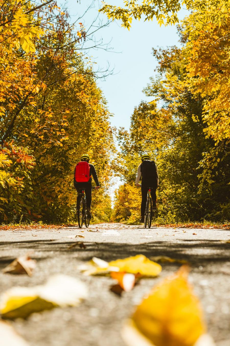 Cycling Trails in the Fall, Fredericton