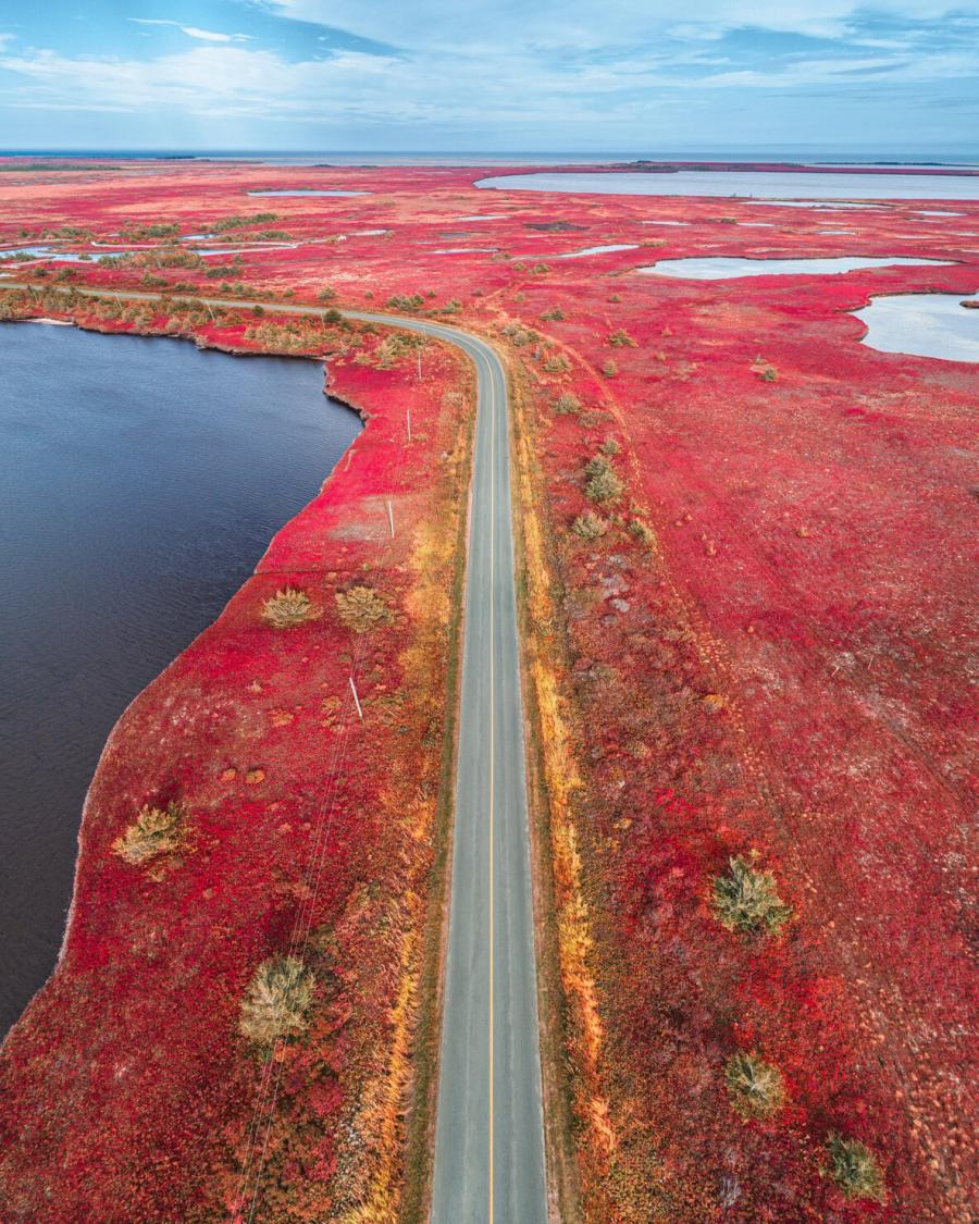 The spectacular red bogs of Miscou Island Acadian coast
