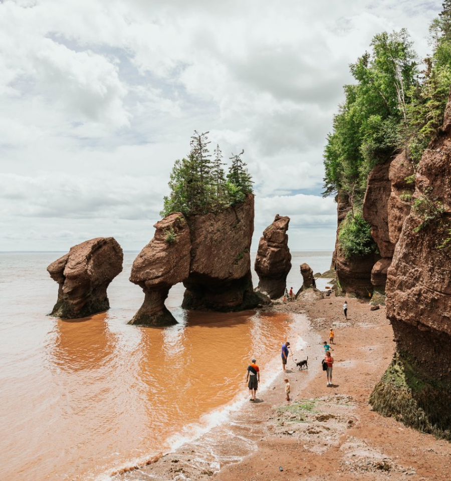 The Hopewell Rocks, on the Bay of Fundy