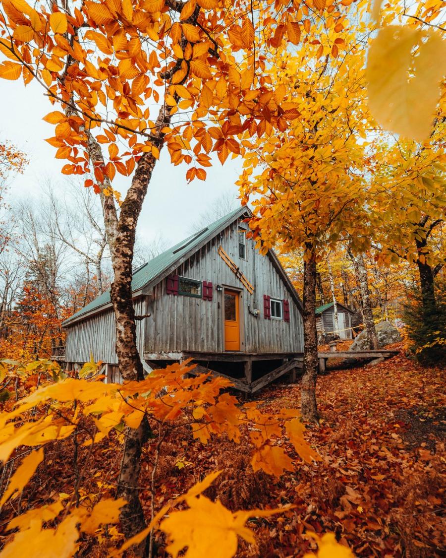 Rustic cabin surrounded by bright fall colours near Crabbe Mountain