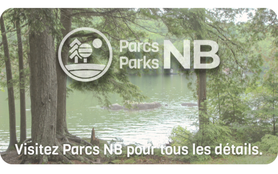 Parc provincial North Lake