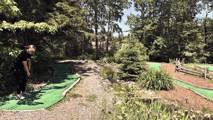 Fire Fly Forest Recreational Area mini golf and driving range
