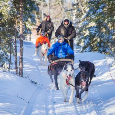 Dog sled - New Brunswick Canada