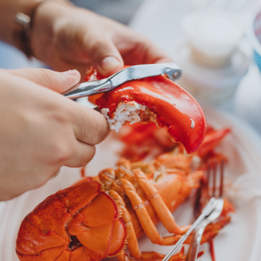New Brunswick lobster