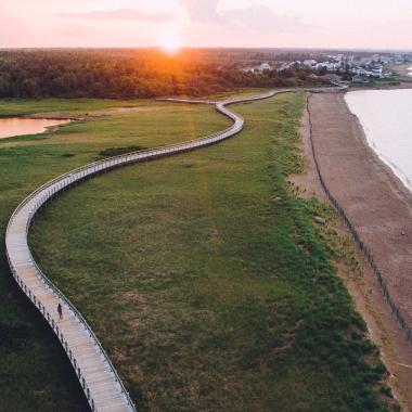 Bouctouche Dune