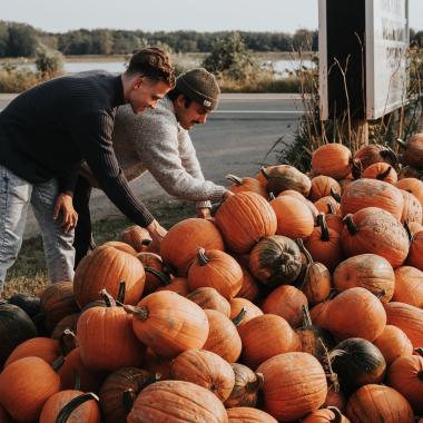 two people picking pumpkins