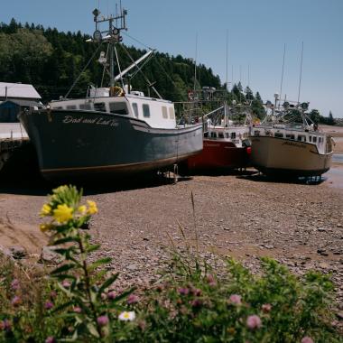 St. Martins Bay of Fundy low tide