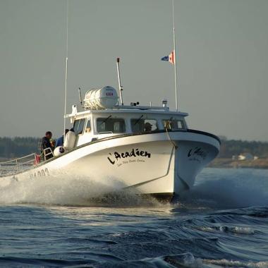 L'Acadien Sea Adventures - Petit-Rocher
