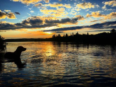 Alex Mayberry | #ExploreNB / Tourisme Nouveau-Brunswick