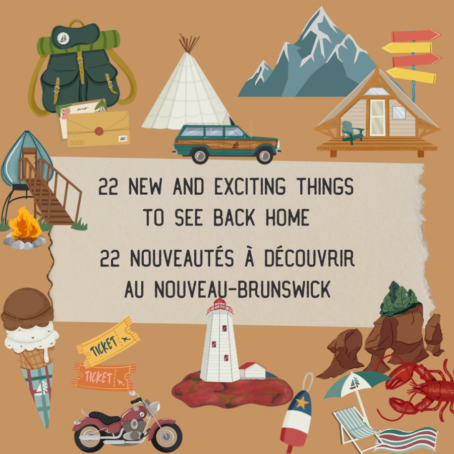 new and exciting things to see back home