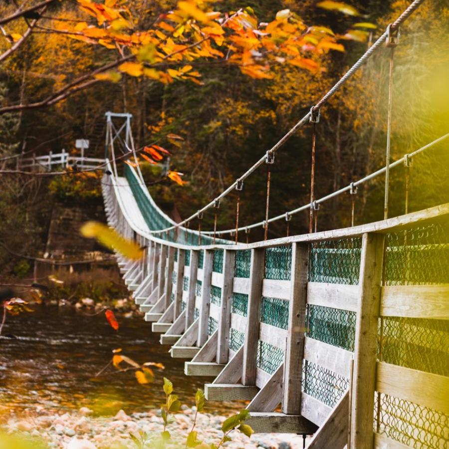 Kilpatrick Footbridge Fall