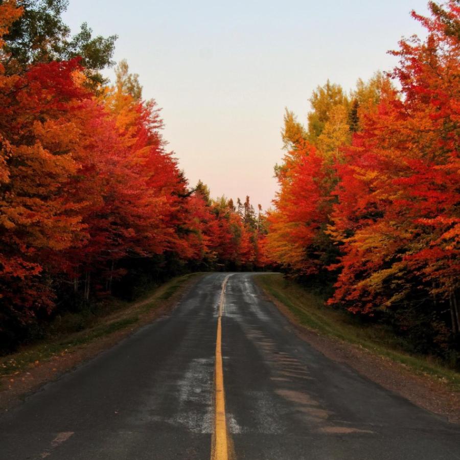 Road Trip Fall
