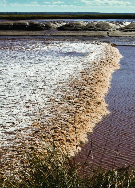 Tidal Bore