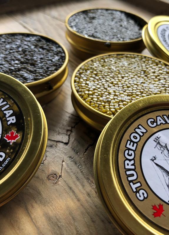 Sturgeon Caviar