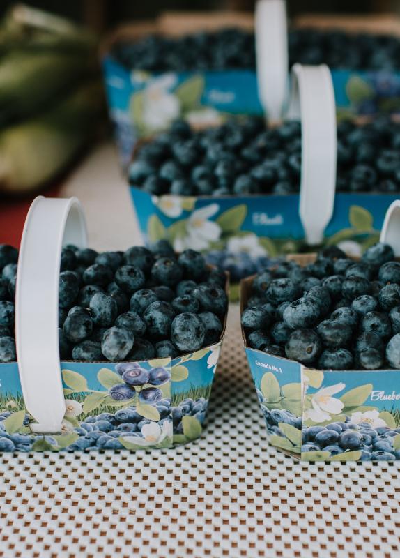 Baskets of blueberries