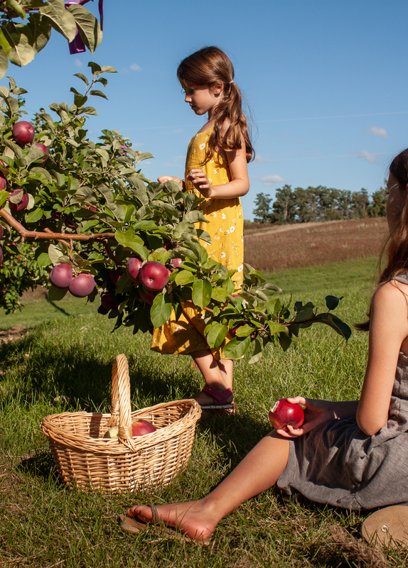 Everetts Orchard_Fredericton_New Brunswick