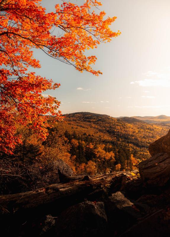 Sussex Bluff Trail in the fall
