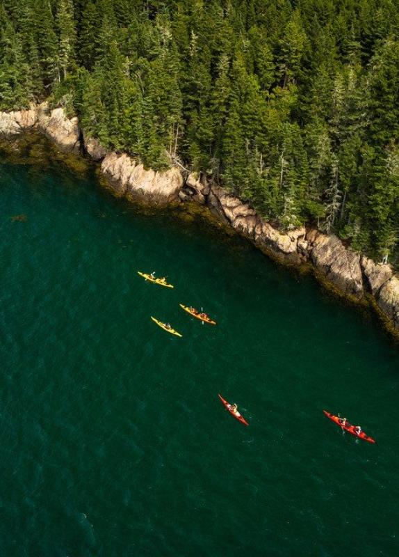 Kayaking Bay of Fundy
