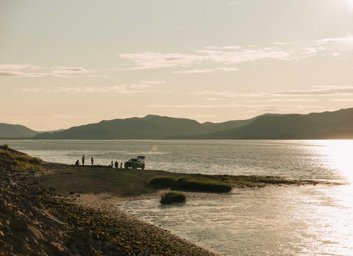 A few of the Bay of Fundy