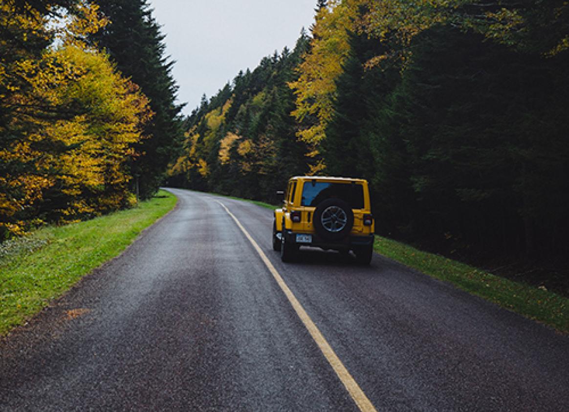 A jeep traveling down a road that is lined with pine trees on both sides.